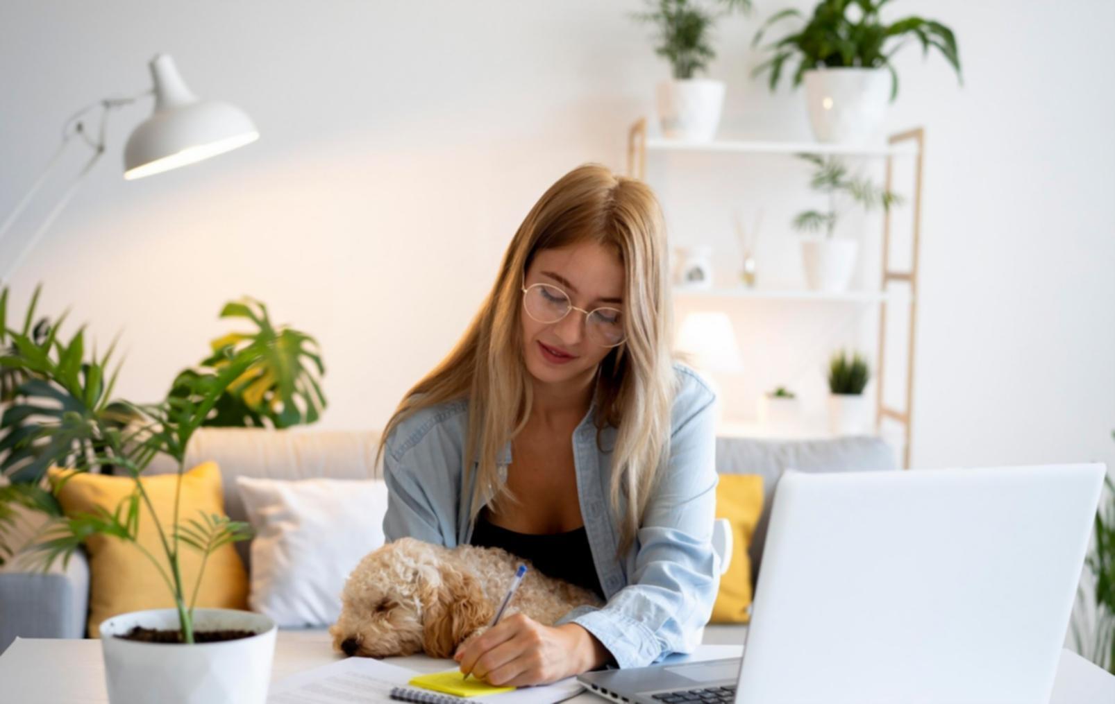 Cercetare cuvinte cheie pentru cursuri online